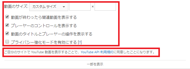 youtube-option